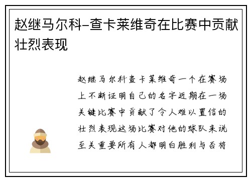 赵继马尔科-查卡莱维奇在比赛中贡献壮烈表现